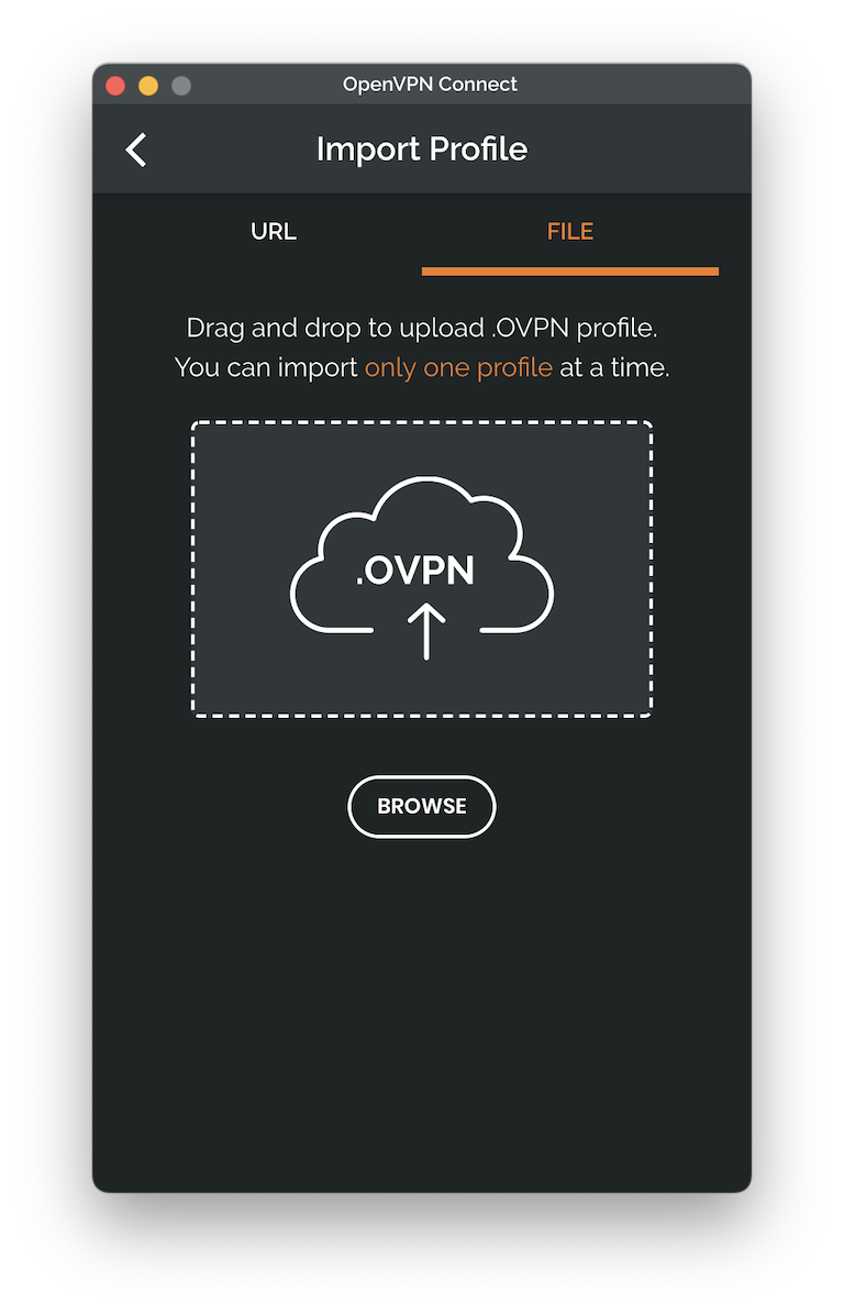 Import the OpenVPN profile