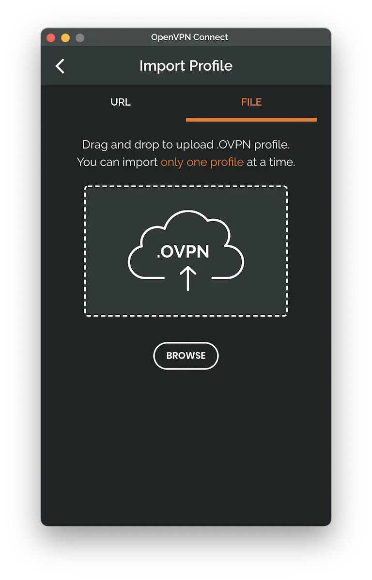 Import the OpenVPN profile
