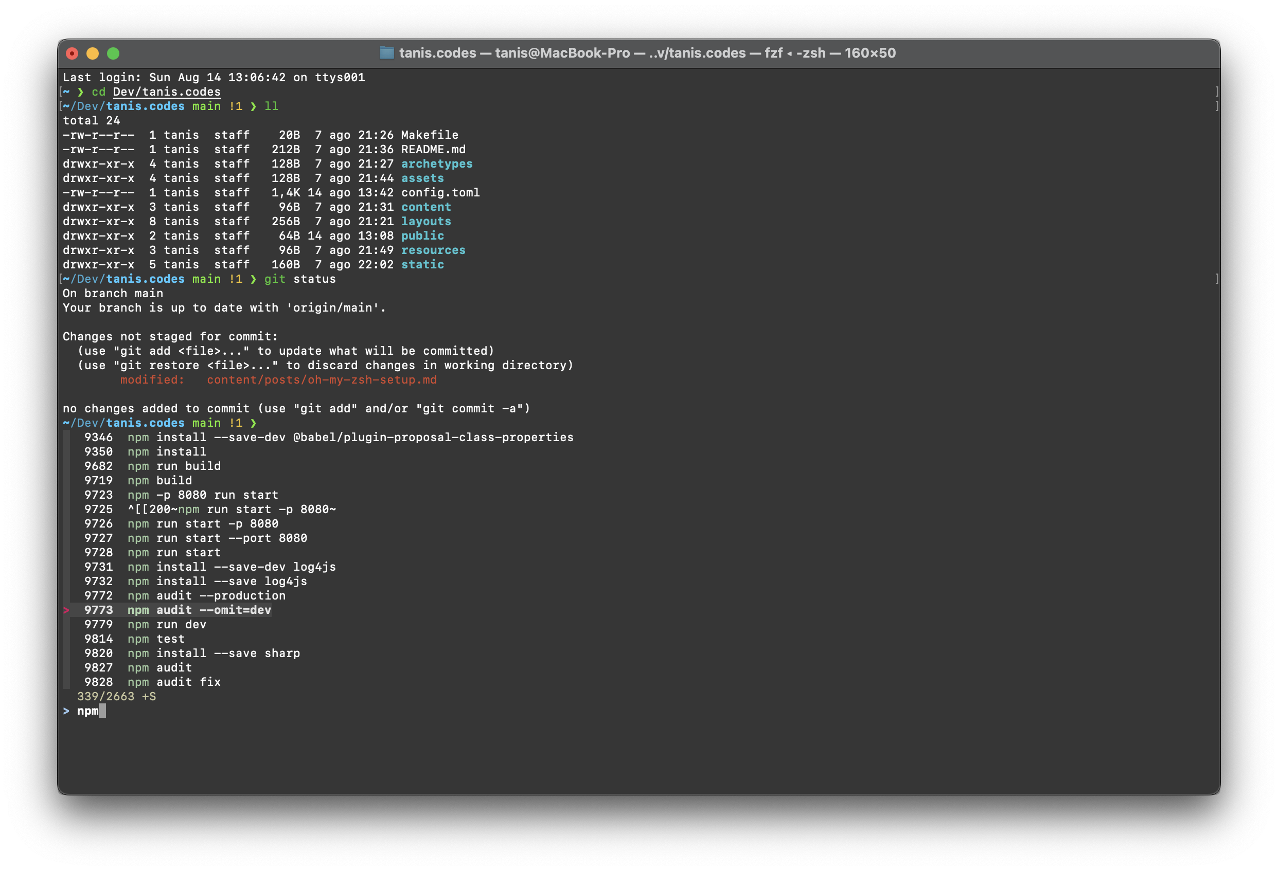 Oh My Zsh setup