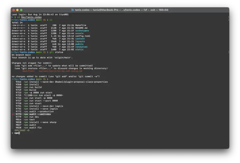 Oh My Zsh setup