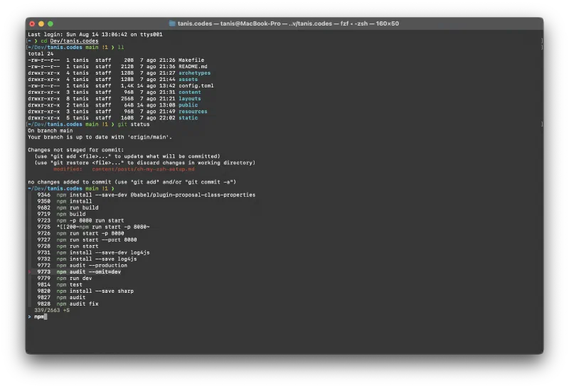 Oh My Zsh setup
