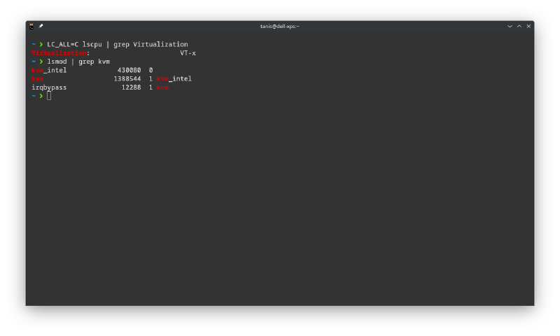 Hardware virtualization check output