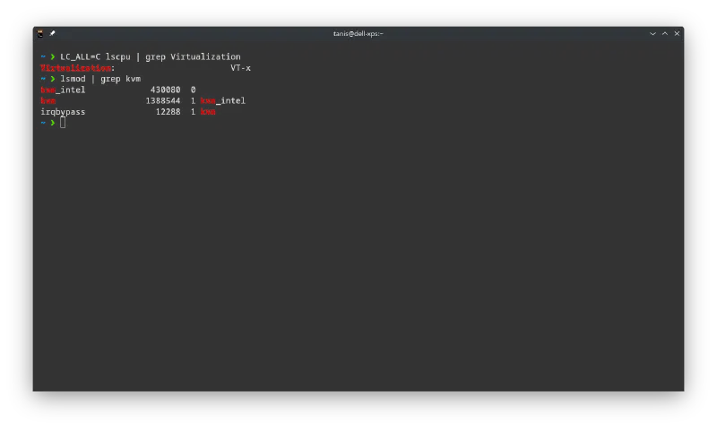 Hardware virtualization check output